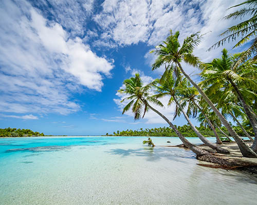 Dreams of Tahiti