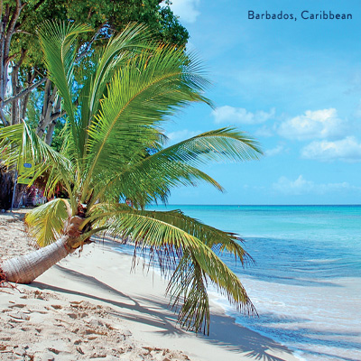 Caribbean