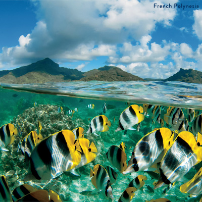 French Polynesia