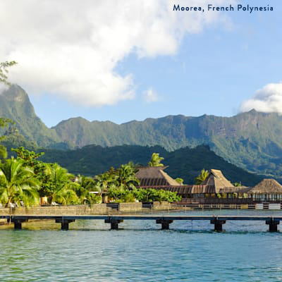 Star Collector: Twice the Tahiti